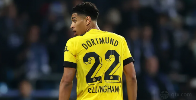 营养管理 营养管理