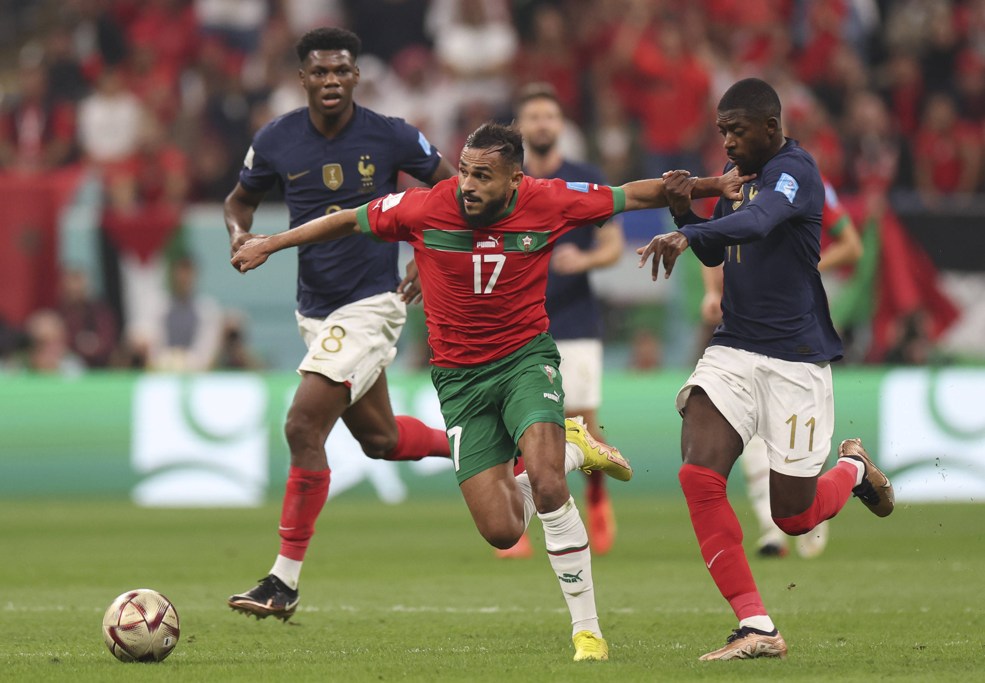 内的广泛赞 内的广泛赞